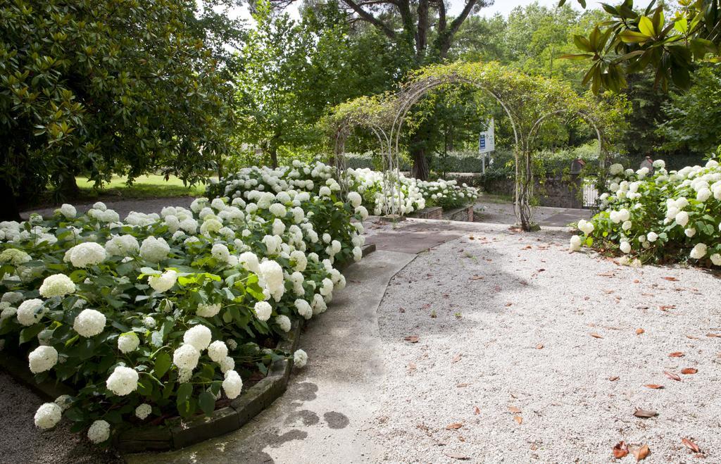 Posada Rolisas Polanco ภายนอก รูปภาพ